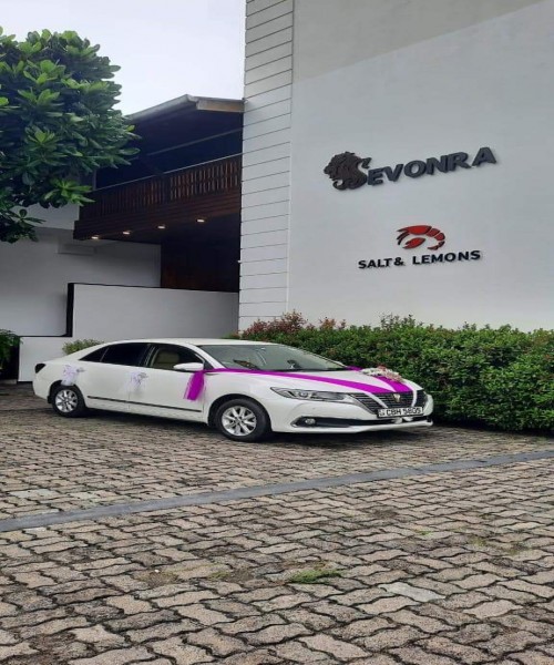 Royal wedding cars & Tours 