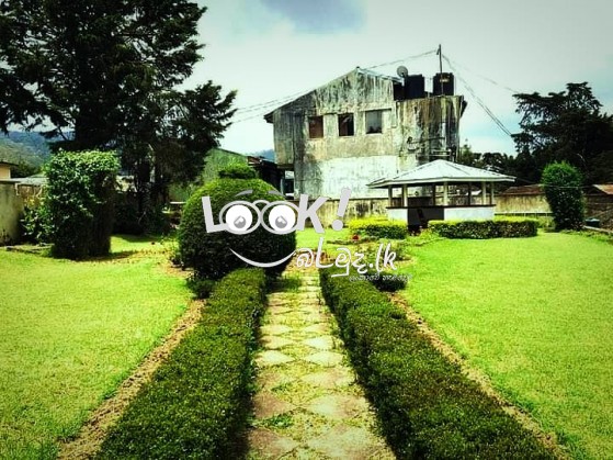 Vacation Bunglow In Nuwara Eliya