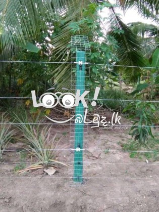 ආරක්ෂක විදුලි වැට සවිකිරිම 