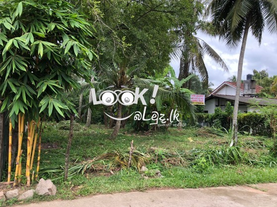 LAND FOR SALE Gamapaha