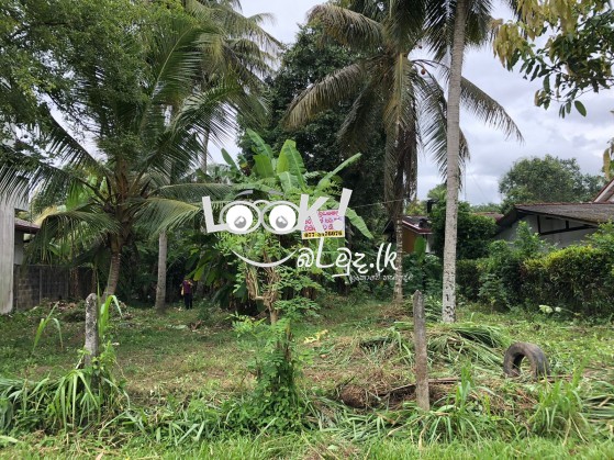 LAND FOR SALE Gamapaha