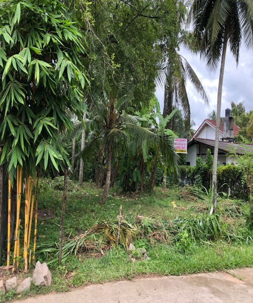 LAND FOR SALE Gamapaha