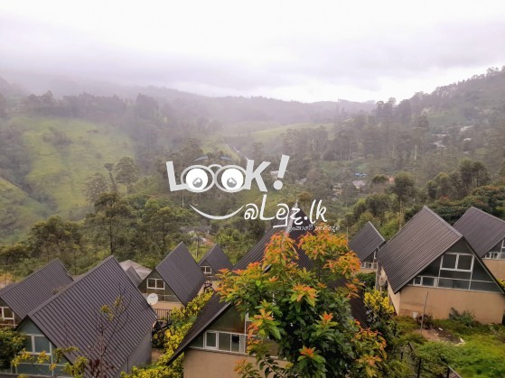 Tourists villas for sale close to Devon falls