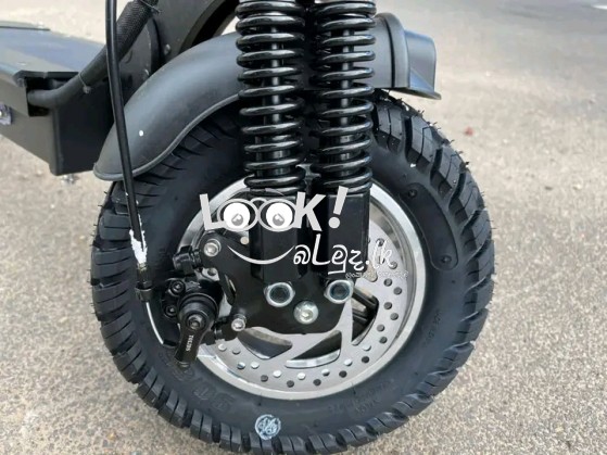 Electric Scooter 