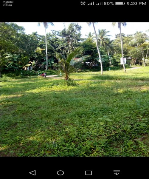 ඉඩමක් විකිණීමට 