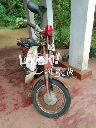 Hero pleasure & MD 90 chali