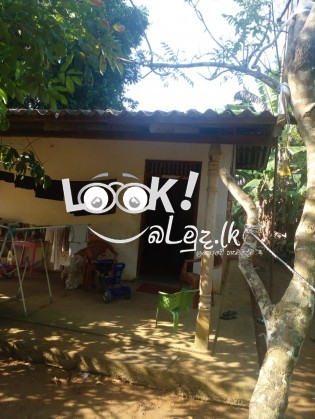 ඉඩම සහ නිවසක් විකිණීමට 