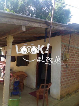 ඉඩම සහ නිවසක් විකිණීමට 