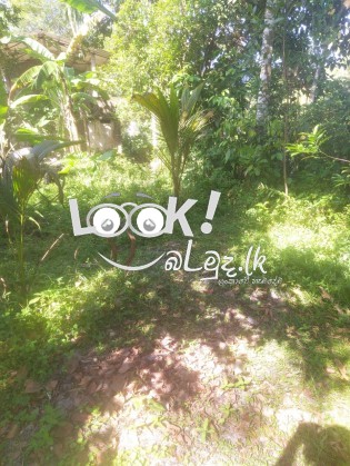 Land for sell kalutara bombuwala