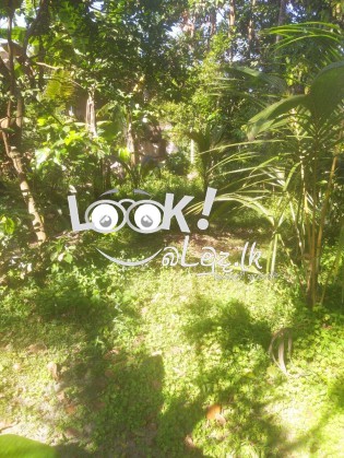 Land for sell kalutara bombuwala