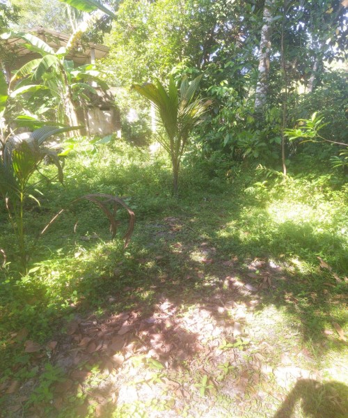 Land for sell kalutara bombuwala