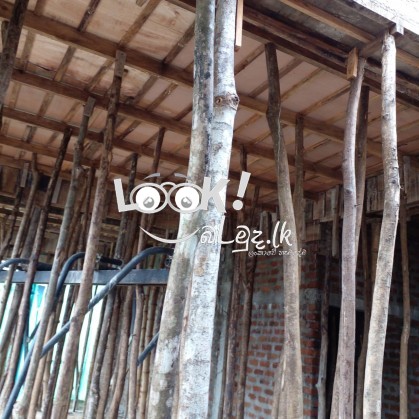 Building Constrauction 