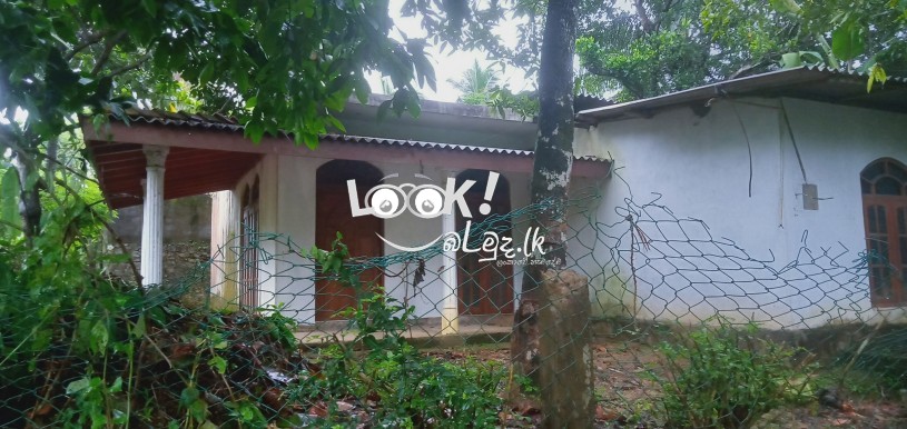 House and pach 11 Edama