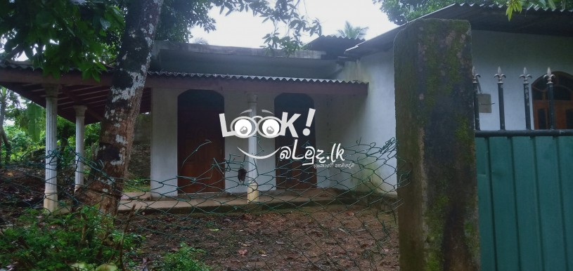 House and pach 11 Edama