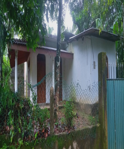 House and pach 11 Edama