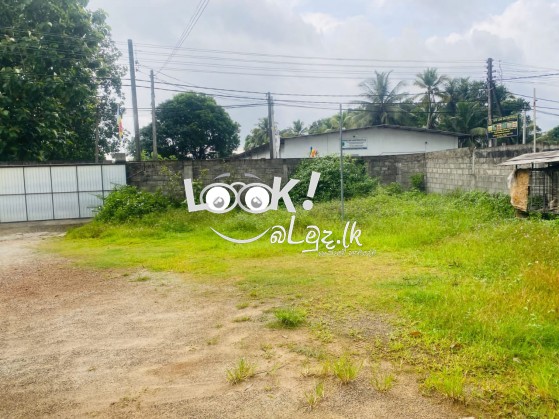 Warehouse for Sale Horana