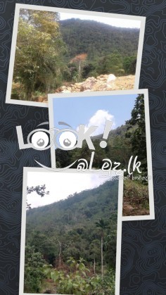 LAND FOR SALE 5akr Ayagama Rathnapura