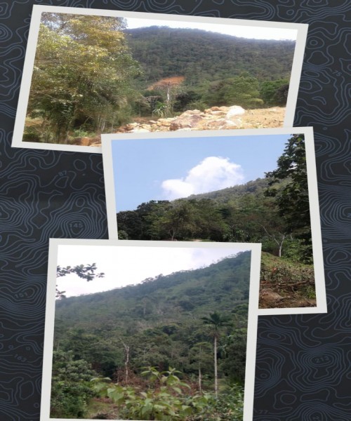 LAND FOR SALE 5akr Ayagama Rathnapura